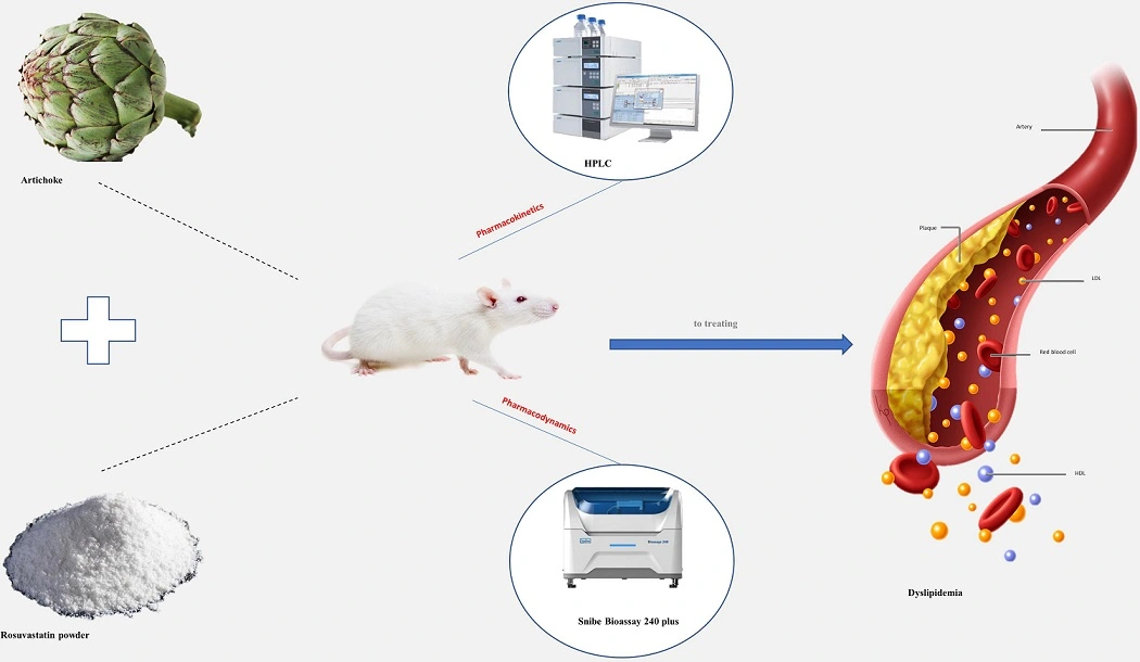 Graphical Abstract